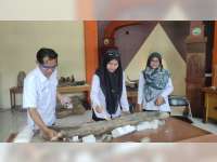 Fosil Gading Gajah Purba yang Ditemukan di Cepu, Disimpan di Rumah Artefak Blora