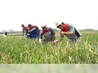 Regional Indonesia Timur Subholding Upstream Pertamina, Operasikan Migas dengan Prinsip ESG