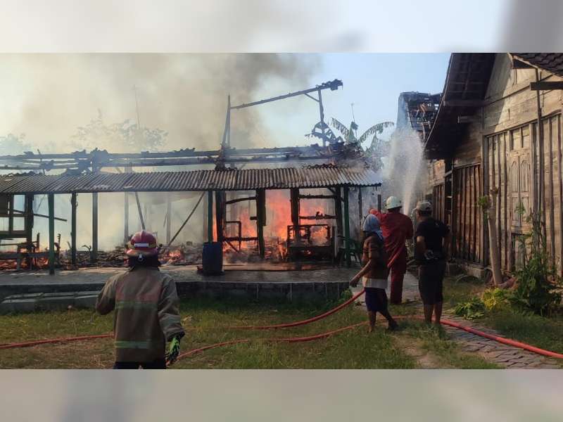 Rumah Warga Ngraho, Bojonegoro Terbakar, 3 Ekor Sapi Turut Terpanggang Api