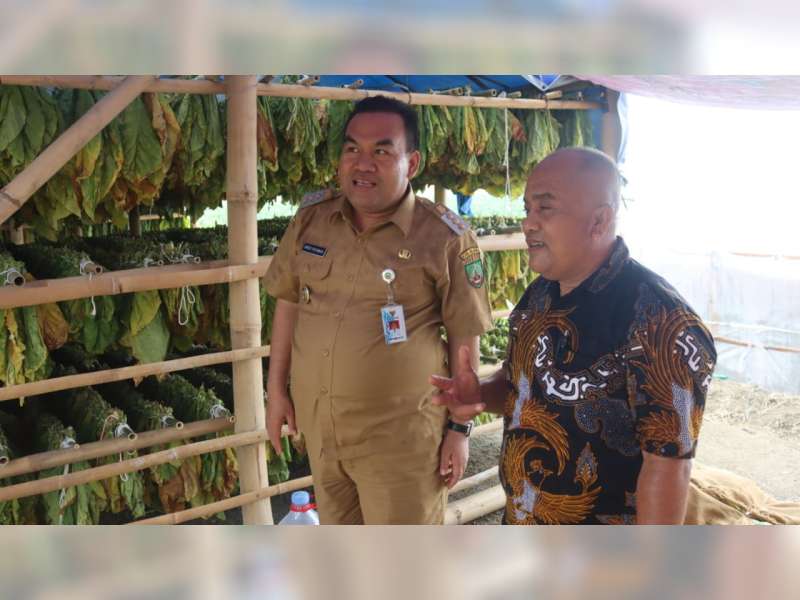 Sejumlah Petani Tembakau di Blora Sampaikan Keluh Kesah ke Bupati