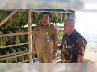 Sejumlah Petani Tembakau di Blora Sampaikan Keluh Kesah ke Bupati