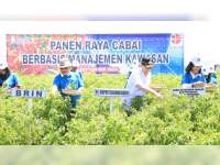 Pj Bupati Bojonegoro Laksanakan Panen Raya Cabai Berbasis Manajemen Kawasan di Kecamatan Gondang