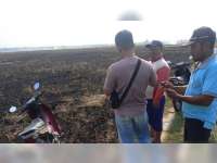 Terjebak Kobaran Api Saat Bakar Batang Kedelai di Sawah, Warga Sumberrejo, Bojonegoro Meninggal