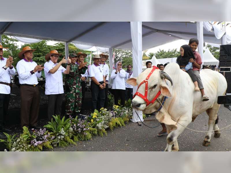 Pj Bupati Bojonegoro Adriyanto Harap Pasar Hewan Bisa Jadi Tujuan Wisata Edukasi