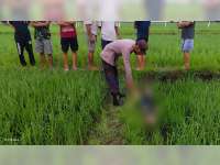 Warga Kalitidu, Bojonegoro, Meninggal Akibat Tersengat Listrik Jebakan Tikus di Sawah