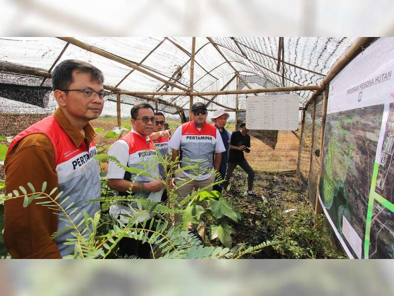 Pertamina EP Cepu Dorong Keberlanjutan Hutan dan Kesejahteraan Masyarakat Melalui Agrosilvopastura
