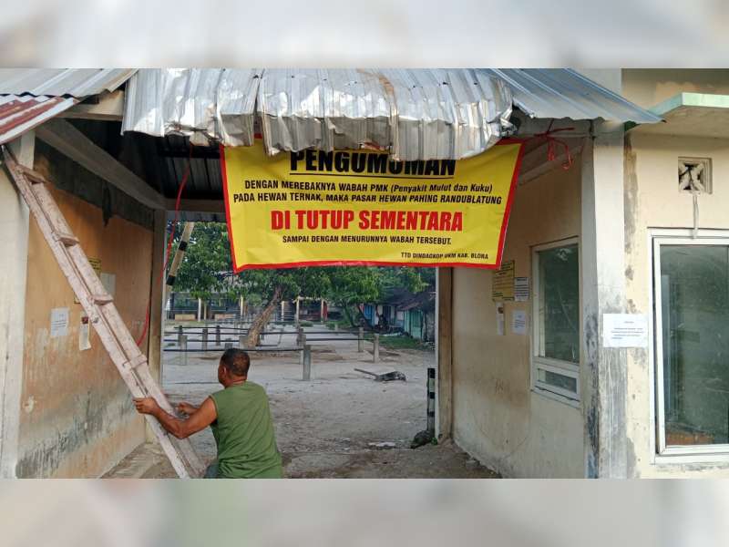 Dampak Merebaknya Wabah PMK, 2 Pasar Hewan di Blora di Tutup Dua Pekan