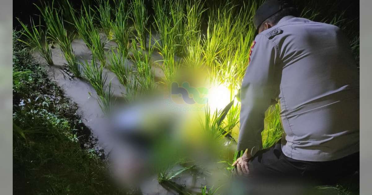 Seorang Petani di Bubulan, Bojonegoro Ditemukan Meninggal di Sawah