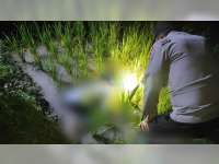 Seorang Petani di Bubulan, Bojonegoro Ditemukan Meninggal di Sawah