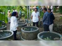 Pemkab Bojonegoro Bakal Perkuat Ketahanan Pangan Keluarga Prasejahtera Melalui Budidaya Ikan Lele