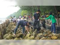 Peringati Bulan K3 Nasional, SIG Bersama UTSG Green and Clean Waste Beach Mangrove