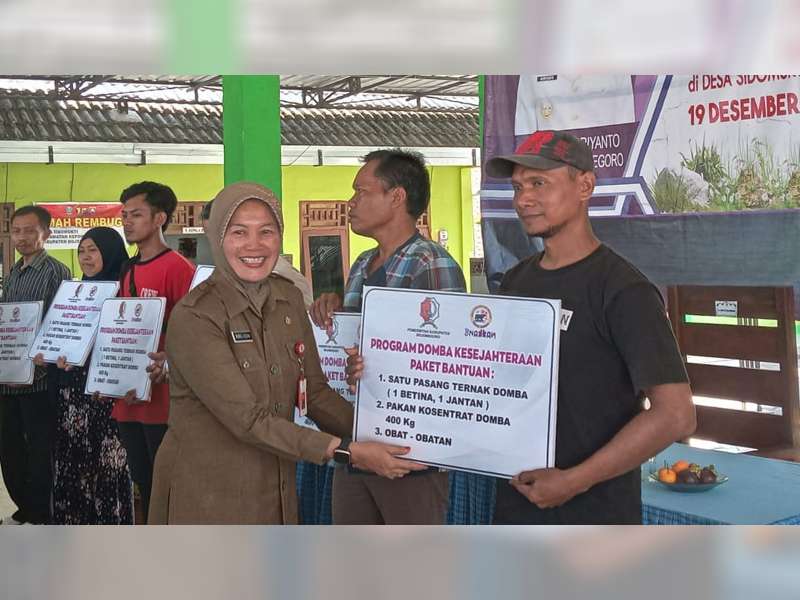 Pemkab Bojonegoro Perluas Penerima Manfaat Program Domba Kesejahteraan