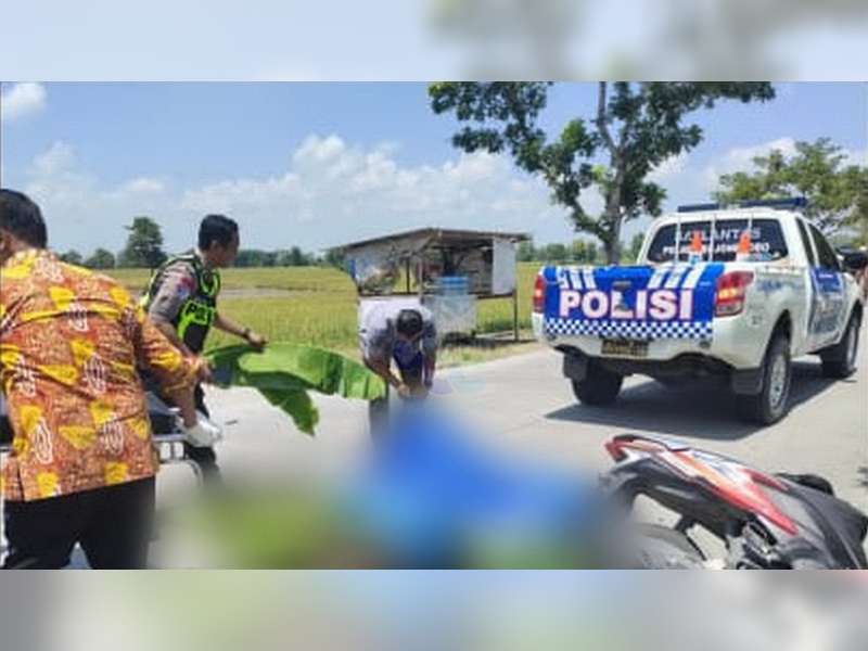 Tabrakan Motor vs Isuzu Panther di Kapas, Bojonegoro, Pengendara Motor Meninggal di TKP