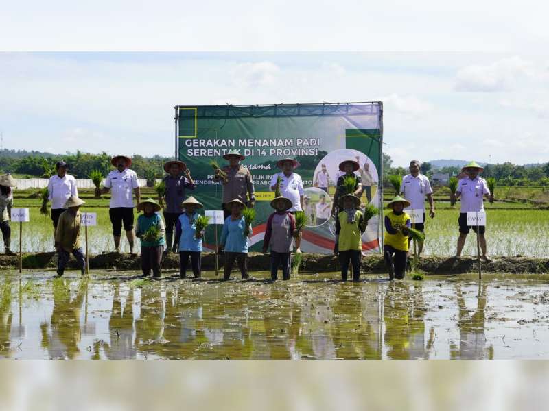 Lampauai Target Luas Tambah Tanam, Blora Siap Jadi Lumbung Pangan Nasional