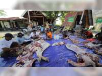 Bukan Sekadar Kurban, Pekerja Blok Cepu Gotong Royong dengan Warga Sebagai Relawan