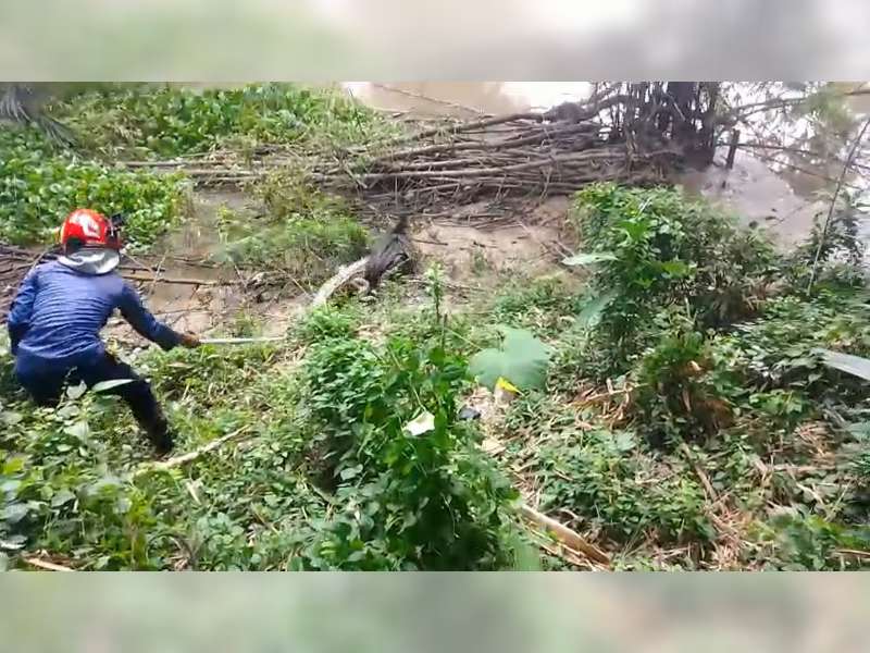Seekor Buaya Muncul di Pinggir Sungai di Desa Pagerwesi, Trucuk, Bojonegoro