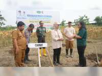 Pemkab Bojonegoro Gandeng PT Sewu Segar Nusantara untuk Budidaya Pepaya California di Malo