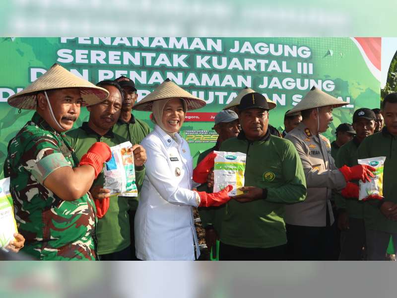 Dukung Swasembada Pangan, Bojonegoro Ikut Sukseskan Penanaman Jagung Serentak Nasional