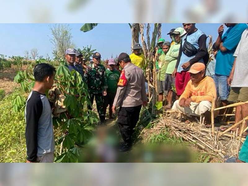 Diduga Hipertensi Kambuh saat Cari Rumput di Sawah, Warga Sukosewu, Bojonegoro Ditemukan Meninggal