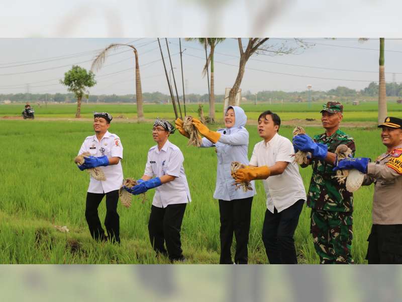 Wakil Bupati Bojonegoro Hadiri Launching Program Pengendalian Tikus dan Pelepasan Burung Hantu