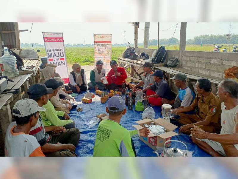 Cara Petani di Jalur Pipa Minyak Kembangkan Pertanian Berkelanjutan