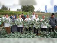 Menko Pangan RI Panen Brokoli hingga Ayam Petelur di Rumah Pangan PNM di Semarang