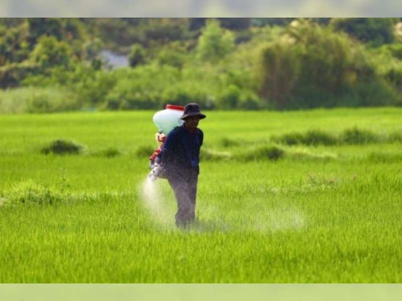 Harga Pupuk Bersubsidi Turun, Petani Bojonegoro Sambut Gembira