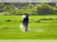Harga Pupuk Bersubsidi Turun, Petani Bojonegoro Sambut Gembira