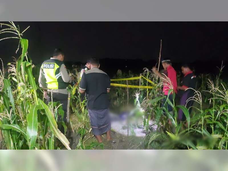 Diduga Serangan Jantung, Petani di Kedungadem, Bojonegoro Ditemukan Meninggal di Sawah