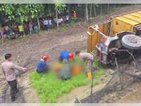 Truk Modifikasi di Ngasem, Bojonegoro Terguling dan Tersengat Listrik, Sopir Tewas di Tempat