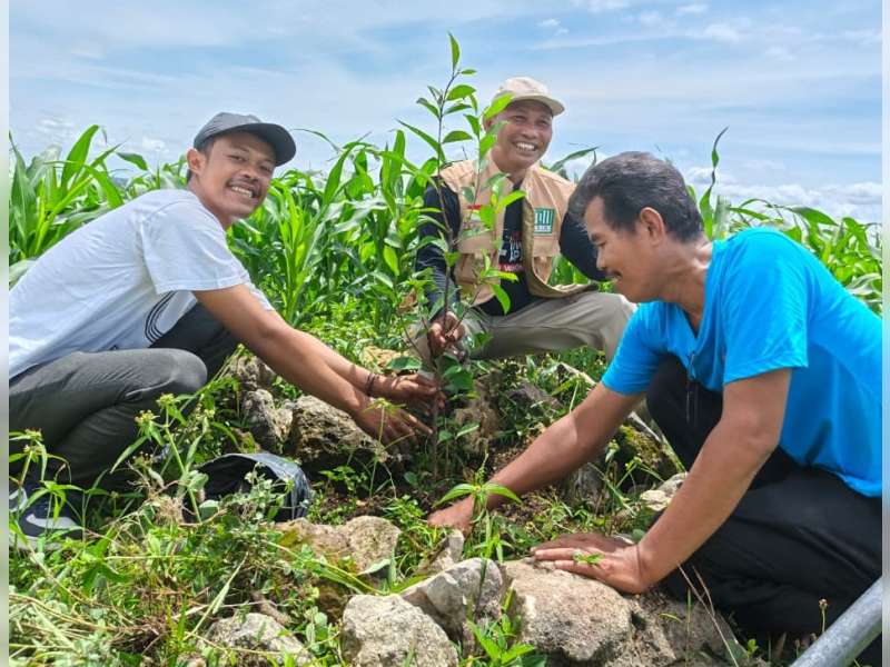 Pemdes Temayang, Bojonegoro  Gelar Aksi Tanam Pohon Beringin di Sendang Jambe, Langkah Nyata Muliakan Sumber Air