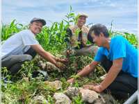 Pemdes Temayang, Bojonegoro  Gelar Aksi Tanam Pohon Beringin di Sendang Jambe, Langkah Nyata Muliakan Sumber Air