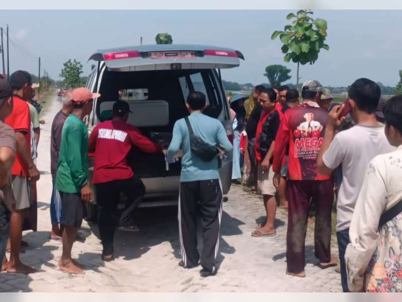 Petani di Bumirejo, Kepohbaru Meninggal Mendadak Saat Bajak Sawah