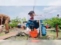 Wujudkan Komitmen Berkelanjutan, PEPC JTB Hijaukan Bojonegoro Melalui Aksi Nyata Peringatan Hari Menanam Pohon Indonesia