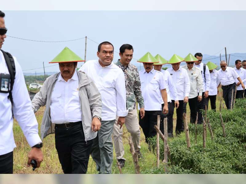 Bupati Arief Ajak Dua Menteri Panen Cabai di Blora