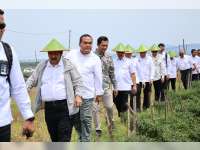 Bupati Arief Ajak Dua Menteri Panen Cabai di Blora