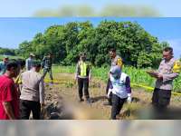 Petani di Tambakrejo, Bojonegoro Meninggal Dunia Saat Membajak Sawah