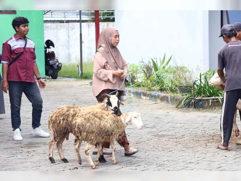 Program Domba Kesejahteraan Pemkab Bojonegoro Disalurkan kepada 1200 Warga