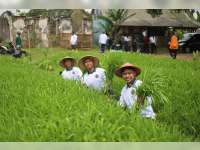 Lapas Bojonegoro Gelar Panen Kangkung di SAE LBIC