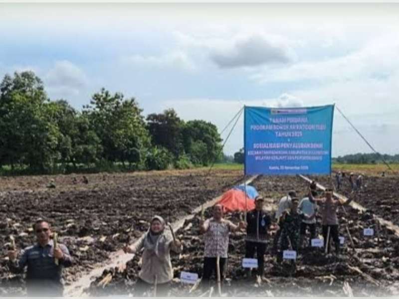Pemprov Jatim Gencar Dorong Bongkar Ratoon Tebu, Bojonegoro Optimistis Capai Target
