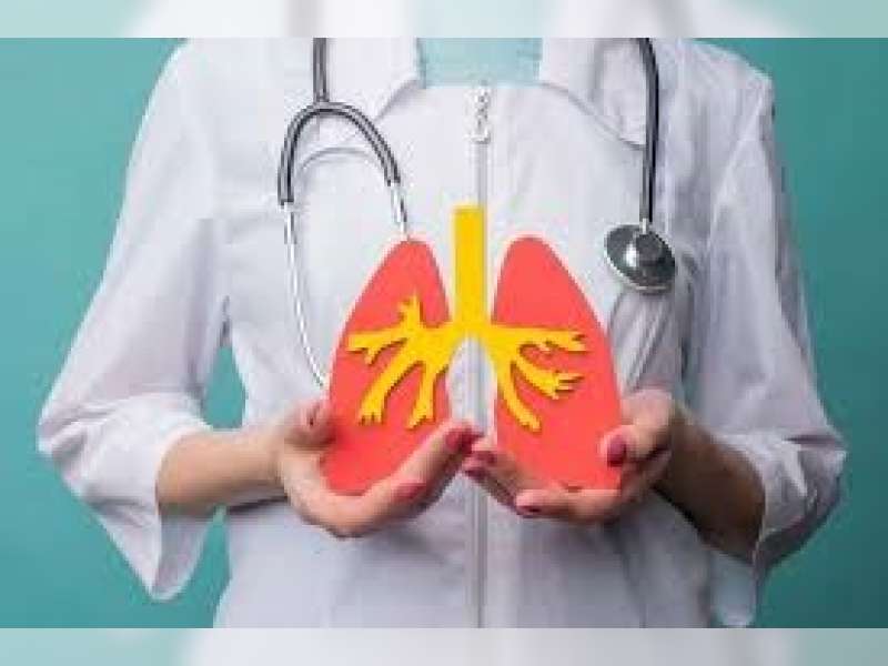 3 Kebiasaan Sehari-Hari yang Bikin Fungsi Paru-Paru Tetap Optimal