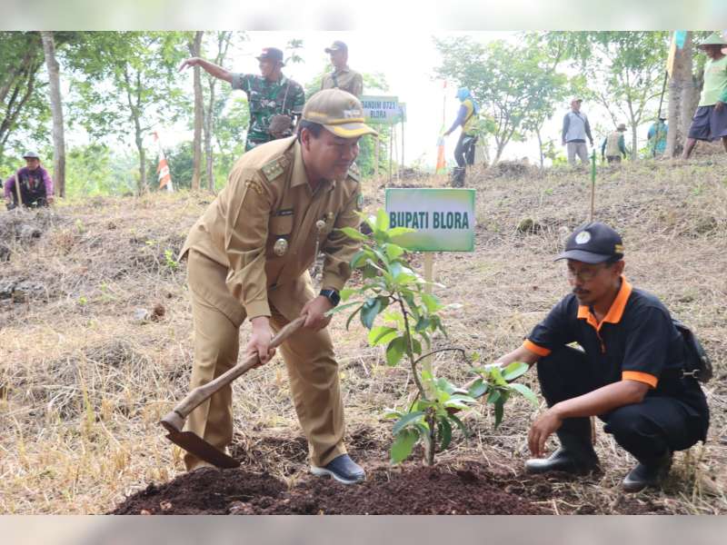 Bupati Blora Dorong Gerakan Menanam Pohon Lintas Sektor untuk Masa Depan Lingkungan