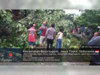 Diterjang Angin Kencang, Puluhan Rumah Warga di Ngraho, Bojonegoro Alami Kerusakan