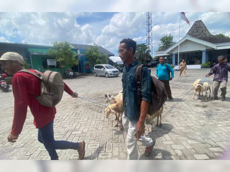 Pemkab Bojonegoro Perluas Program Domba Kesejahteraan, Target 3.325 Keluarga di 2026