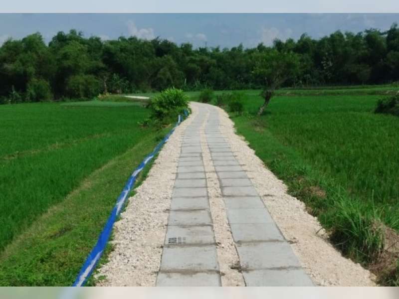 Dukung Infrastruktur Pertanian,  Pemkab Bojonegoro Siap Bangun 163 Titik JUT Tahun 2026