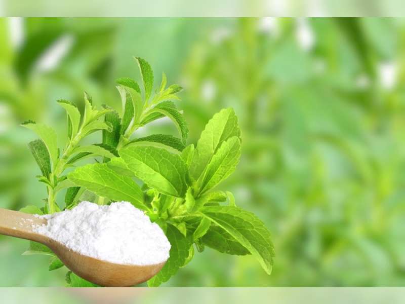 Stevia, Pemanis Alami Tanpa Kalori yang Ramah bagi Penderita Diabetes dan Diet