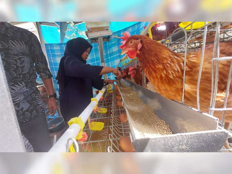 Harapan Menetas dari Program Gayatri di Desa Mori, Bojonegoro