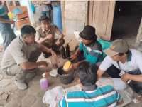 Tak Lagi Bakar Jerami, Petani Luwihaji Bojonegoro Kini Racik Dekomposer Sendiri demi Kesuburan Tanah