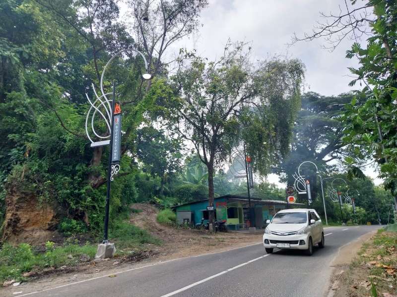 Sambut Pendatang, PJU Ikonik 'Mliwis Putih' Kini Hiasi Seluruh Perbatasan Bojonegoro