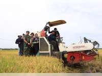 Gandeng UGM, Bojonegoro Targetkan Jadi Produsen Padi Tertinggi Nasional pada 2028